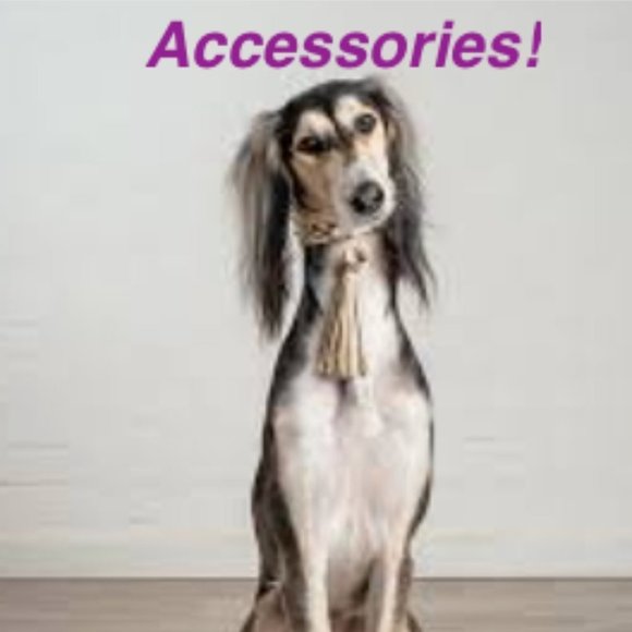 ❤️@PoshingSaluki's Accessory Items!❤️ - Picture 1 of 1